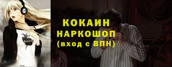 гашик Кодинск