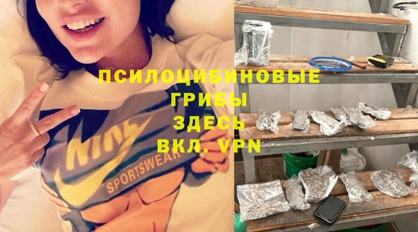 гашик Кодинск