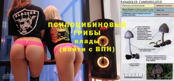 гашик Кодинск