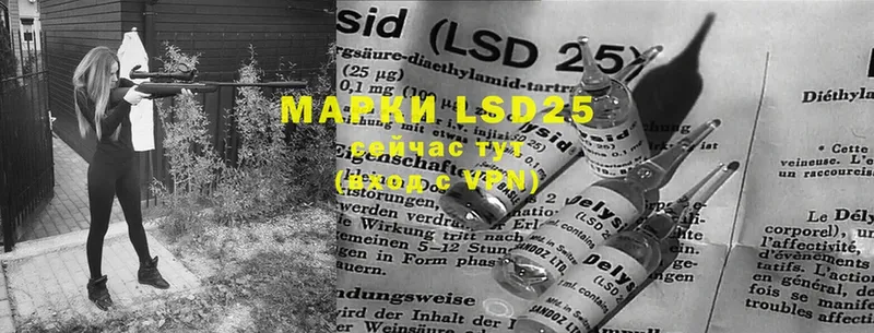 LSD-25 экстази кислота  Новоузенск 